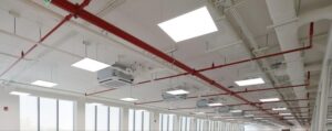 Sprinkler pipes installed in the ceiling of a commercial facility.